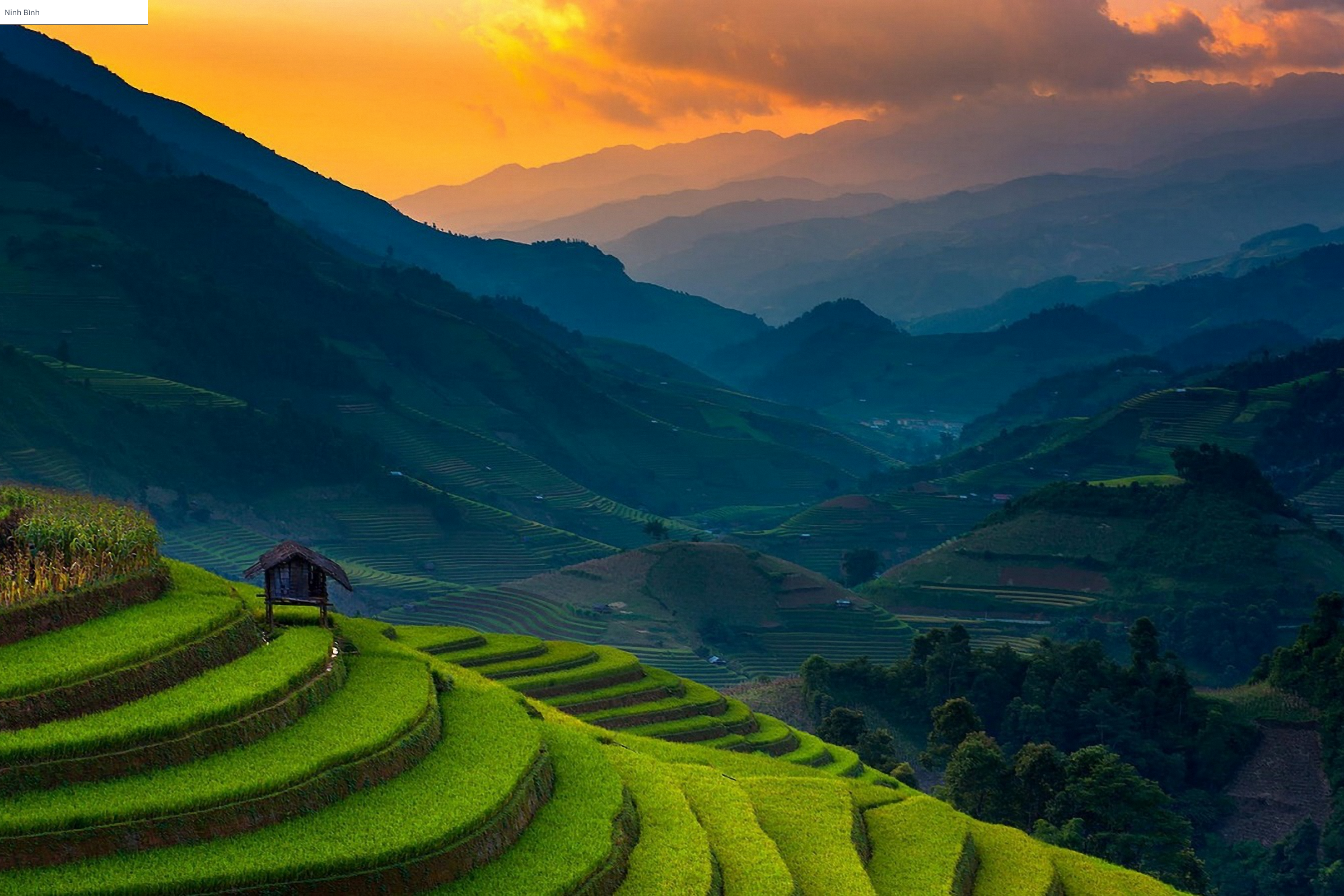 việt trì (4).webp
